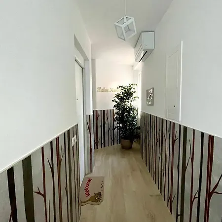 Bed & Breakfast Palm House Cupra Marittima